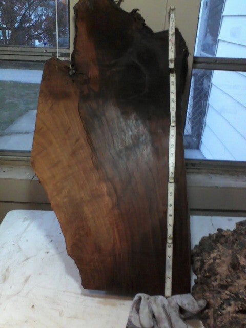 11555-root2-2.jpg